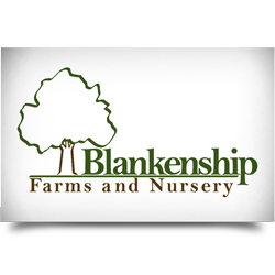Blankenship Farm & Nursery logo
